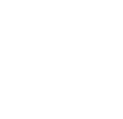 icon-1.1