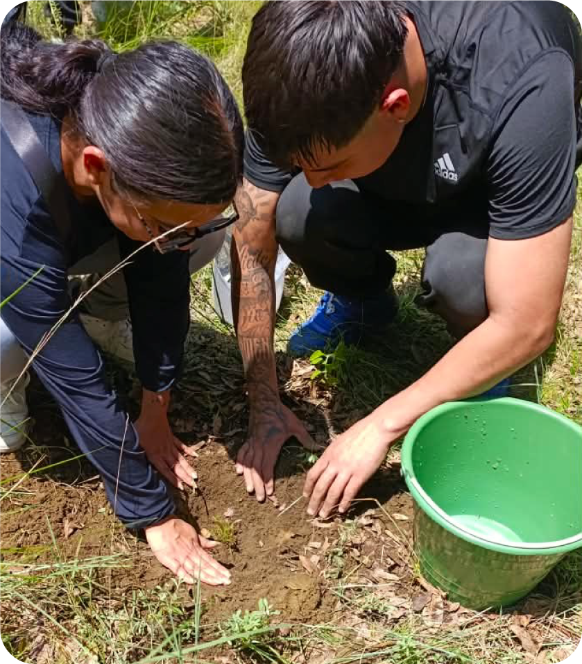 Voluntarios y pobladores plantando árboles